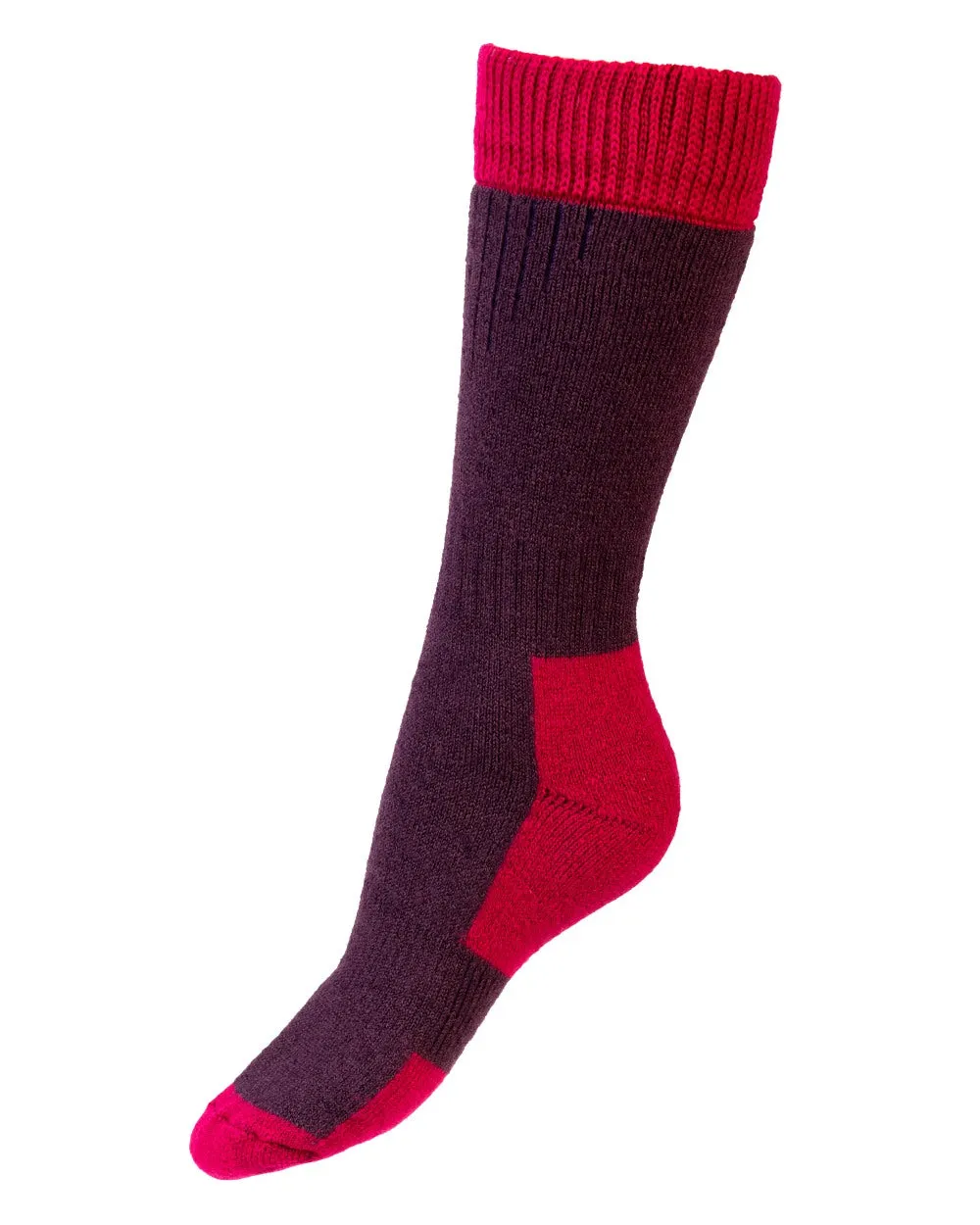 House of Cheviot Lady Glen Socks